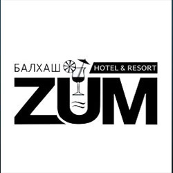 ZUM logo